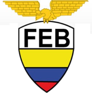 Ecuador 0-Pres Primary Logo iron on transfers for clothing